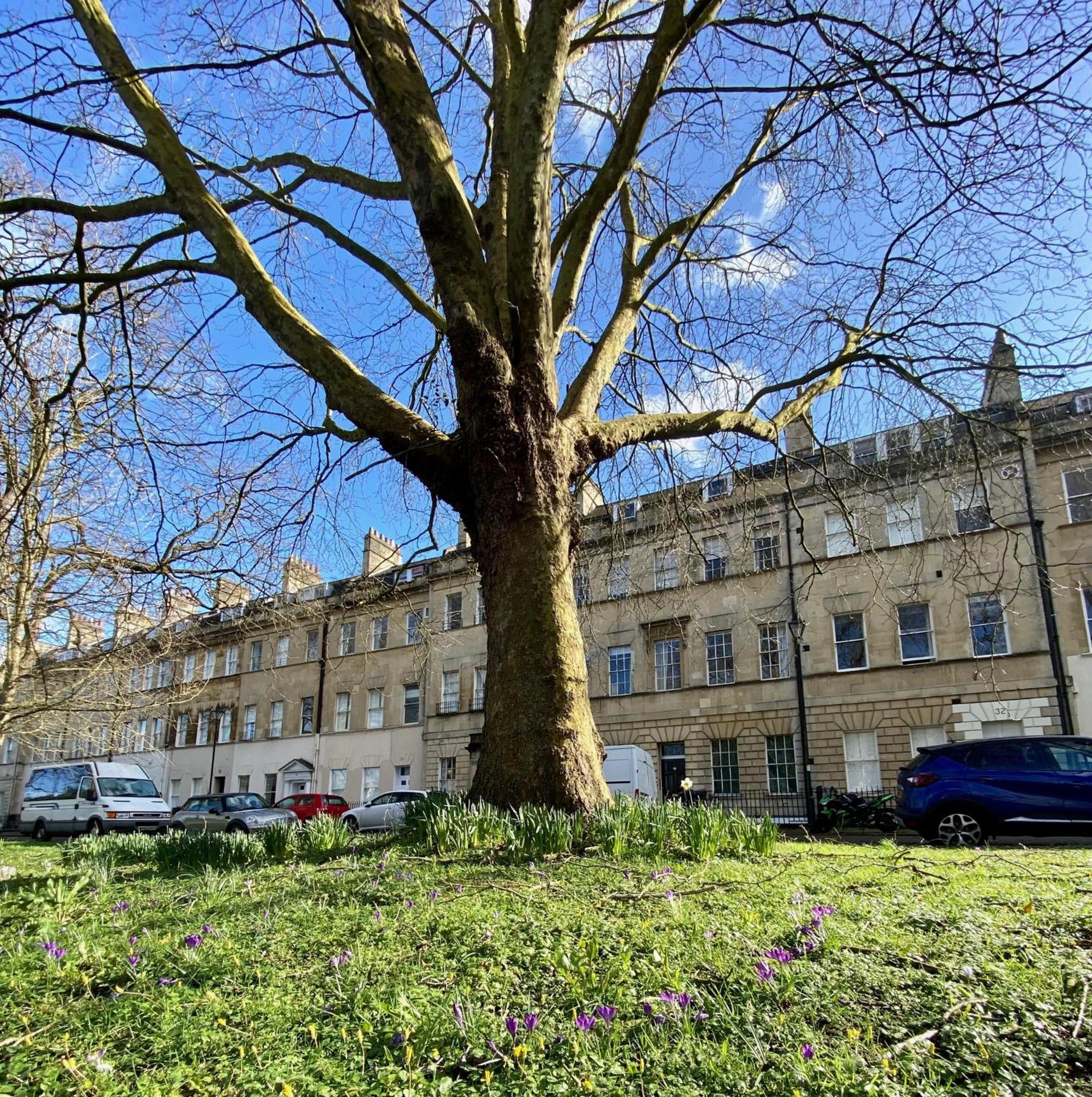 Grosvenor Apartments In Bath - Great For Families, Groups, Couples, 80 Sq M, Parking Εξωτερικό φωτογραφία